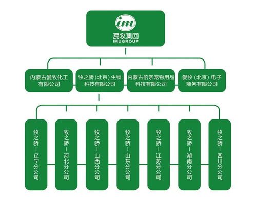 牧之驕產(chǎn)品匠心獨(dú)具，愛牧集團(tuán)畜博會(huì)溢彩流光——網(wǎng)絡(luò)文化經(jīng)營賦能現(xiàn)代畜牧業(yè)