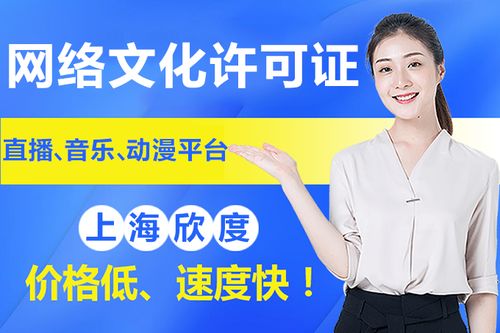 2020年上海網(wǎng)絡(luò)文化經(jīng)營許可證申請(qǐng)材料及其他文網(wǎng)文詳情
