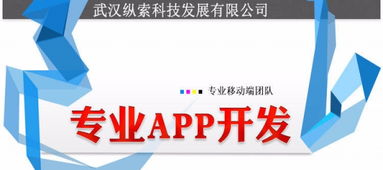 武漢縱索App開(kāi)發(fā)外包公司 專(zhuān)業(yè)辦公系統(tǒng)軟件開(kāi)發(fā)定制與軟件外包服務(wù)
